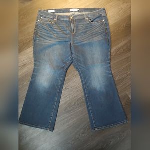 Torrid Slim Boot Cut Jean Plus Size 24XS
